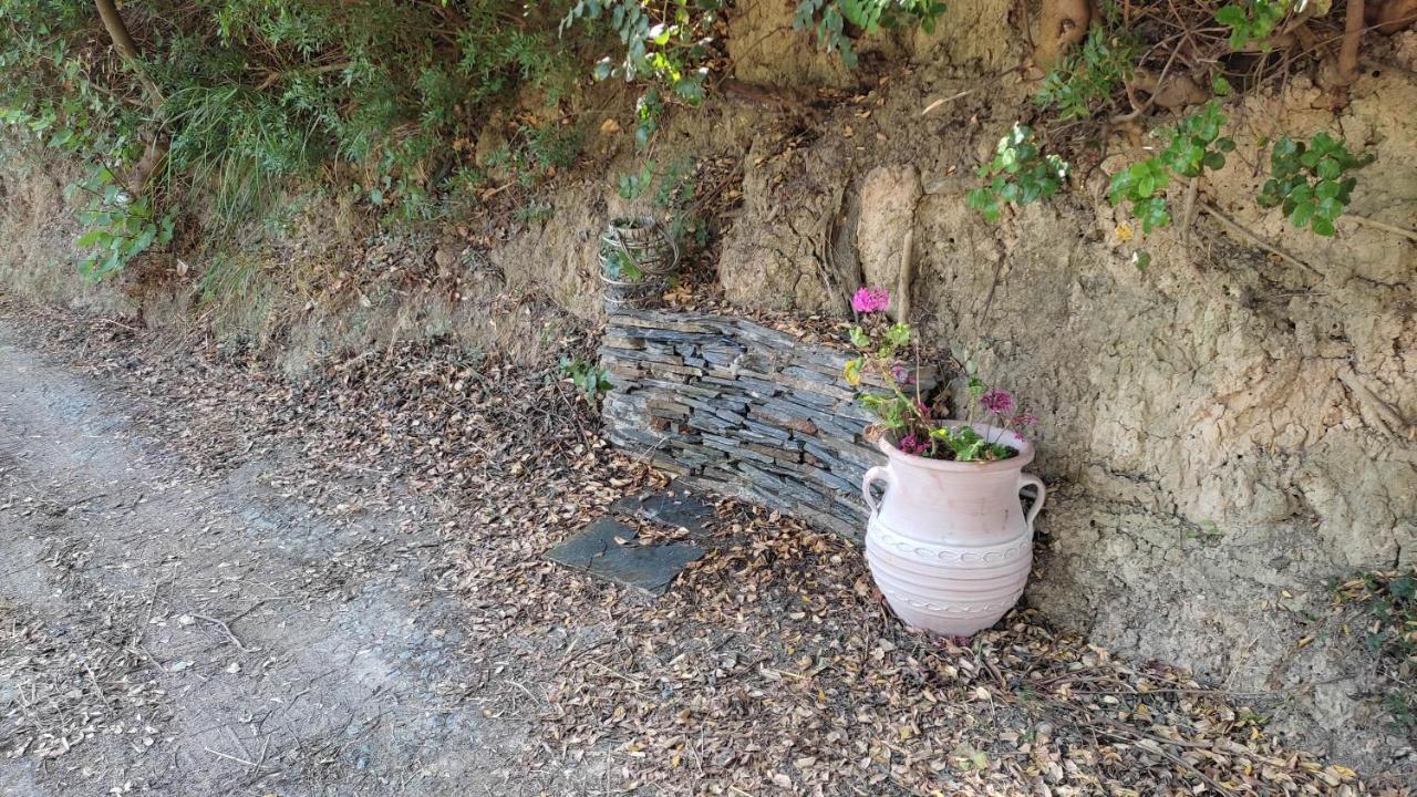 Aiolos Kalamaki  Dış mekan fotoğraf