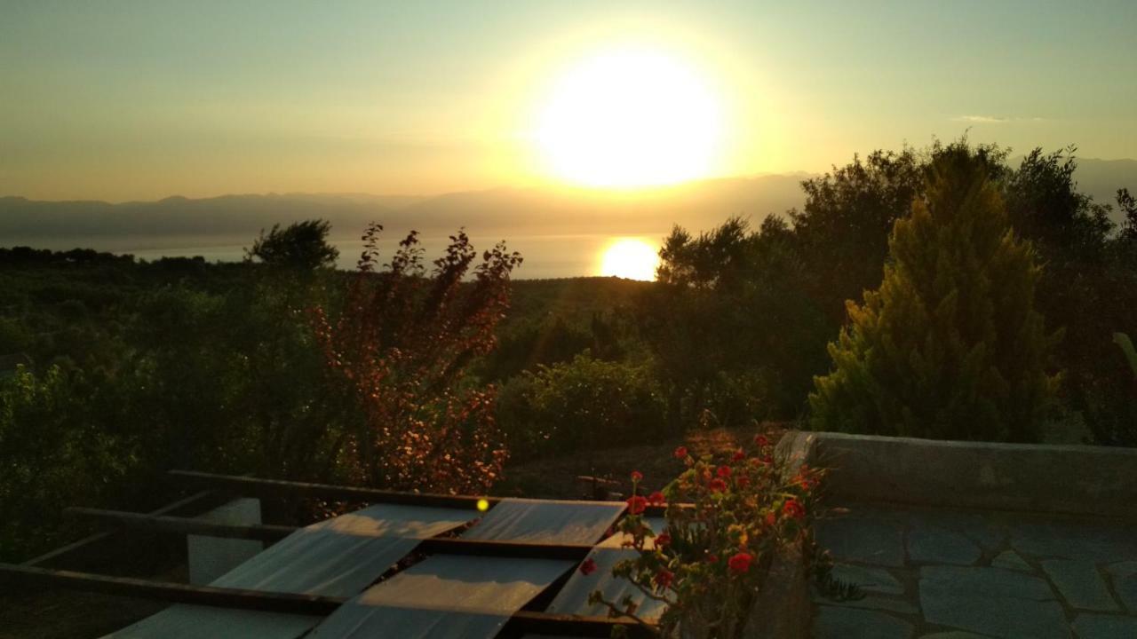 Aiolos Kalamaki  Dış mekan fotoğraf