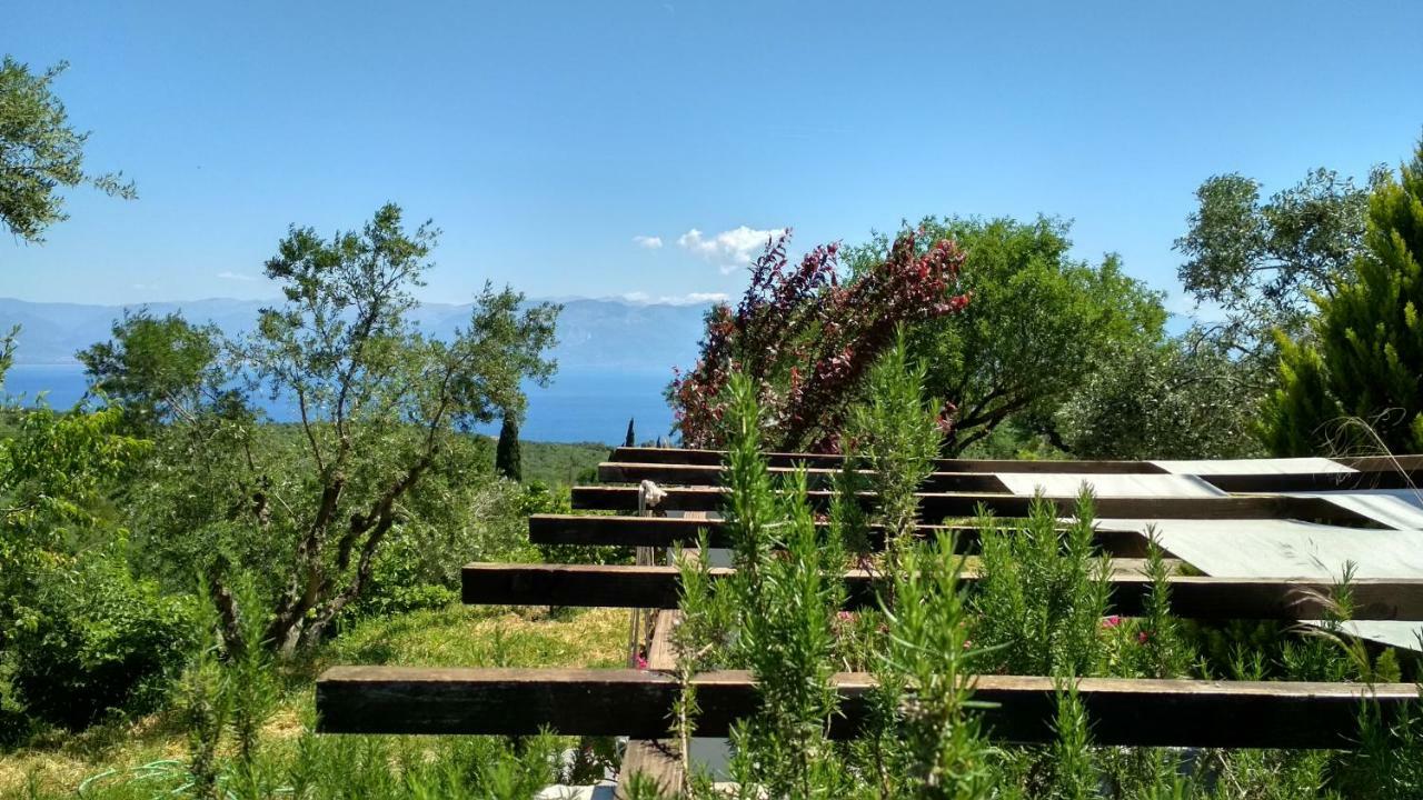 Aiolos Kalamaki  Dış mekan fotoğraf